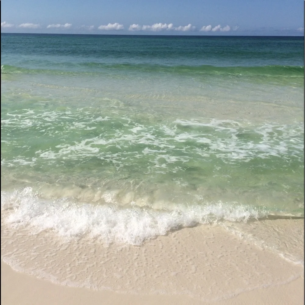 My fur babies and others. Lol. - Picture 11 of 15